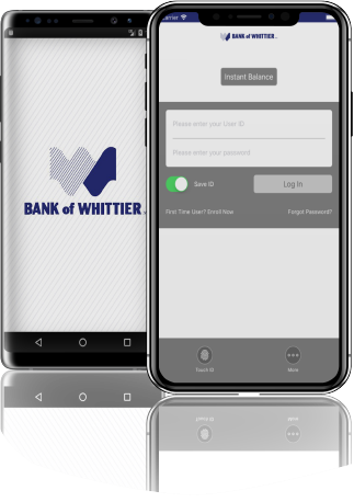 mobile banking App