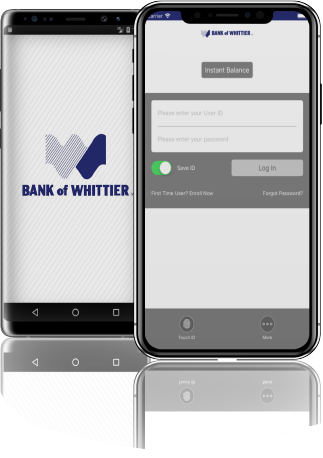 mobile banking app